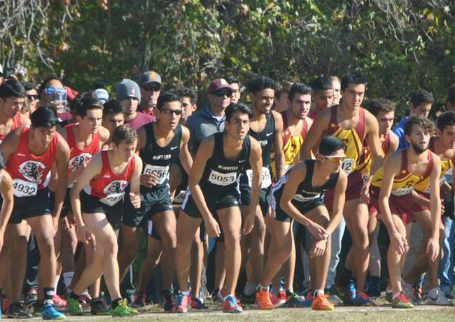 Two SCC Teams Top Men's Cross Country State Rankings