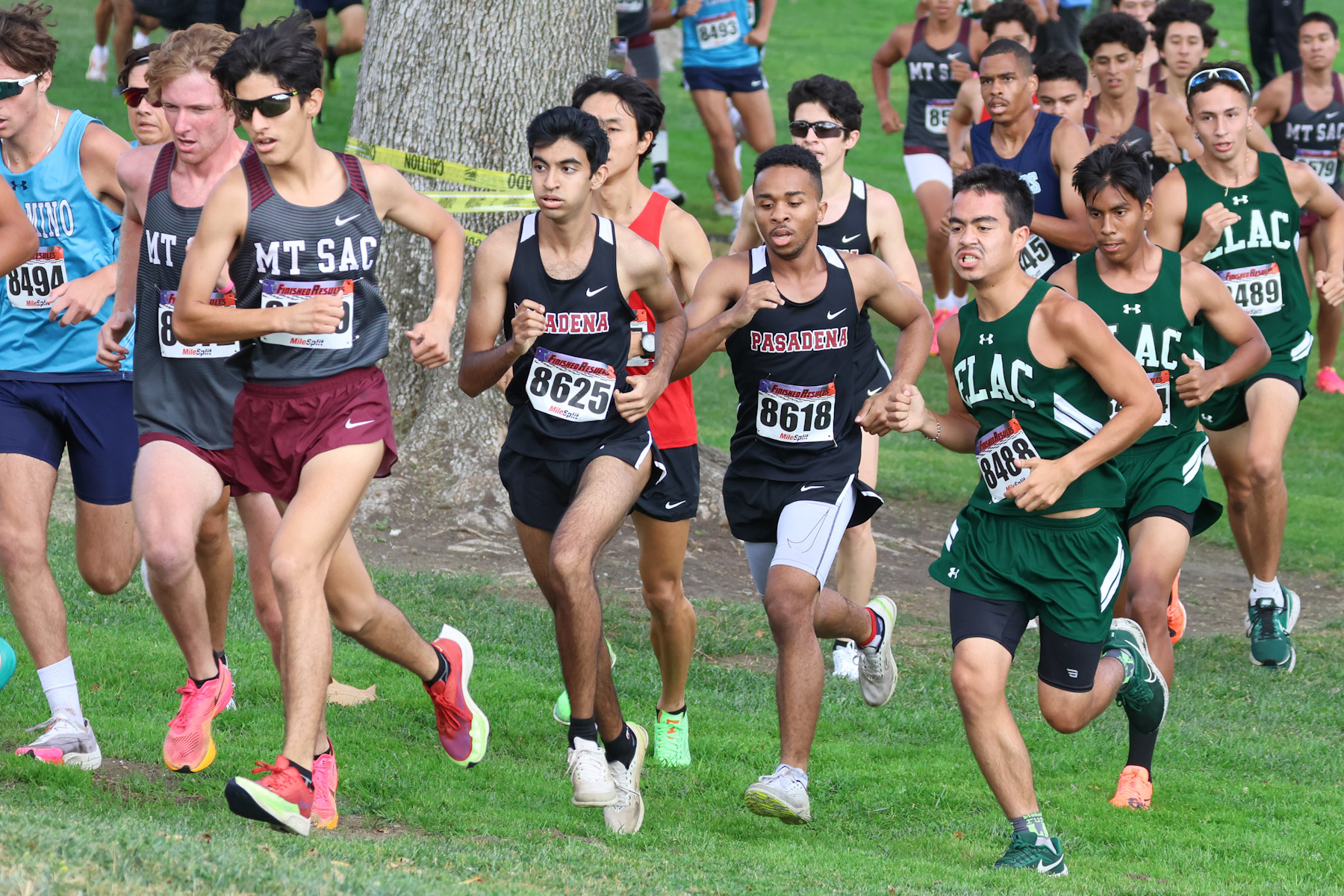 Runners in action at the 2023 SCC Championships in Harbor City (photo by Richard Quinton).