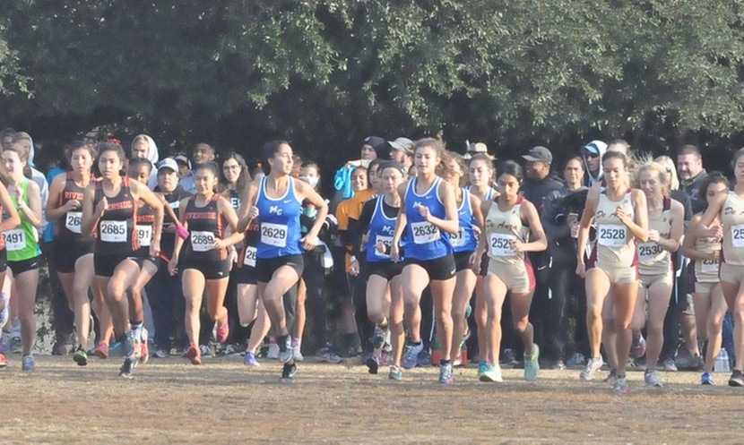 Clean South Coast Conference Sweep At State Cross Country Championships